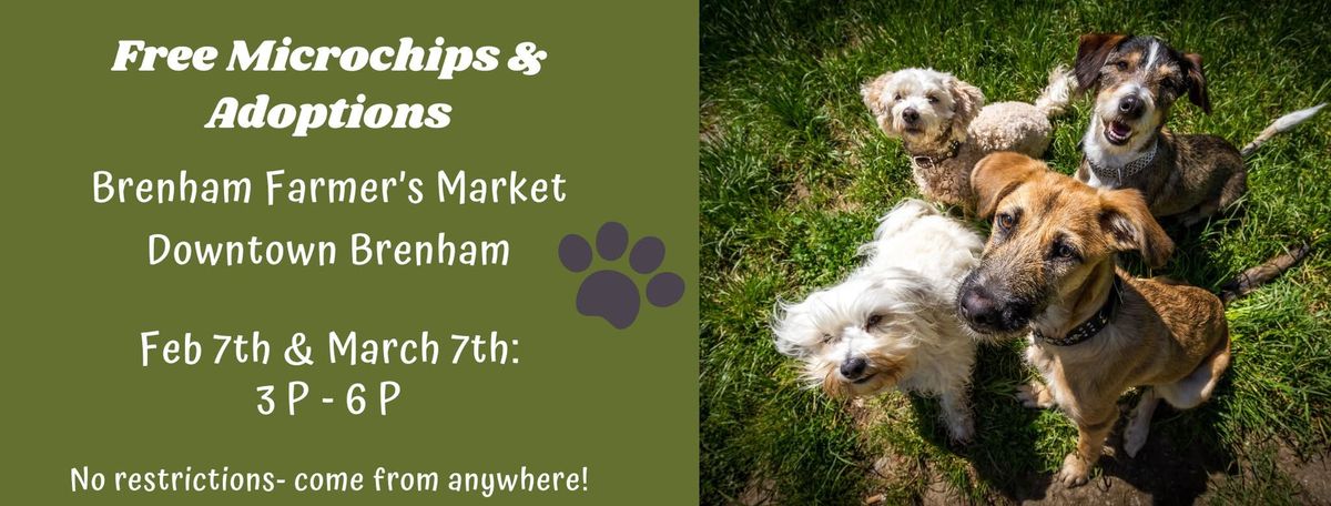 FREE microchipping & adoptions- Brenham!