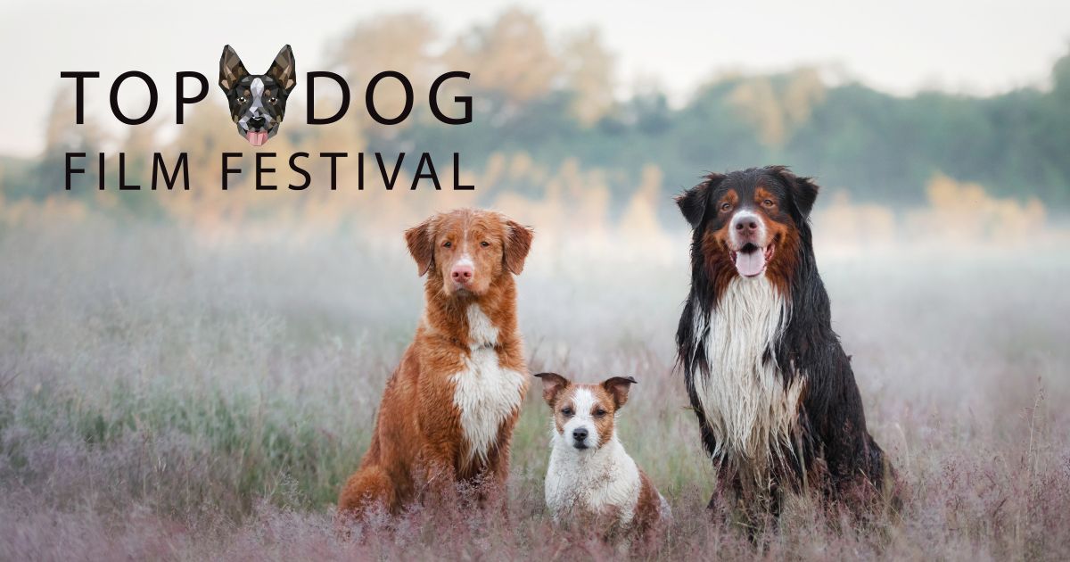 Top Dog Film Festival 2024  - Adelaide Sat 10 Aug 2pm 