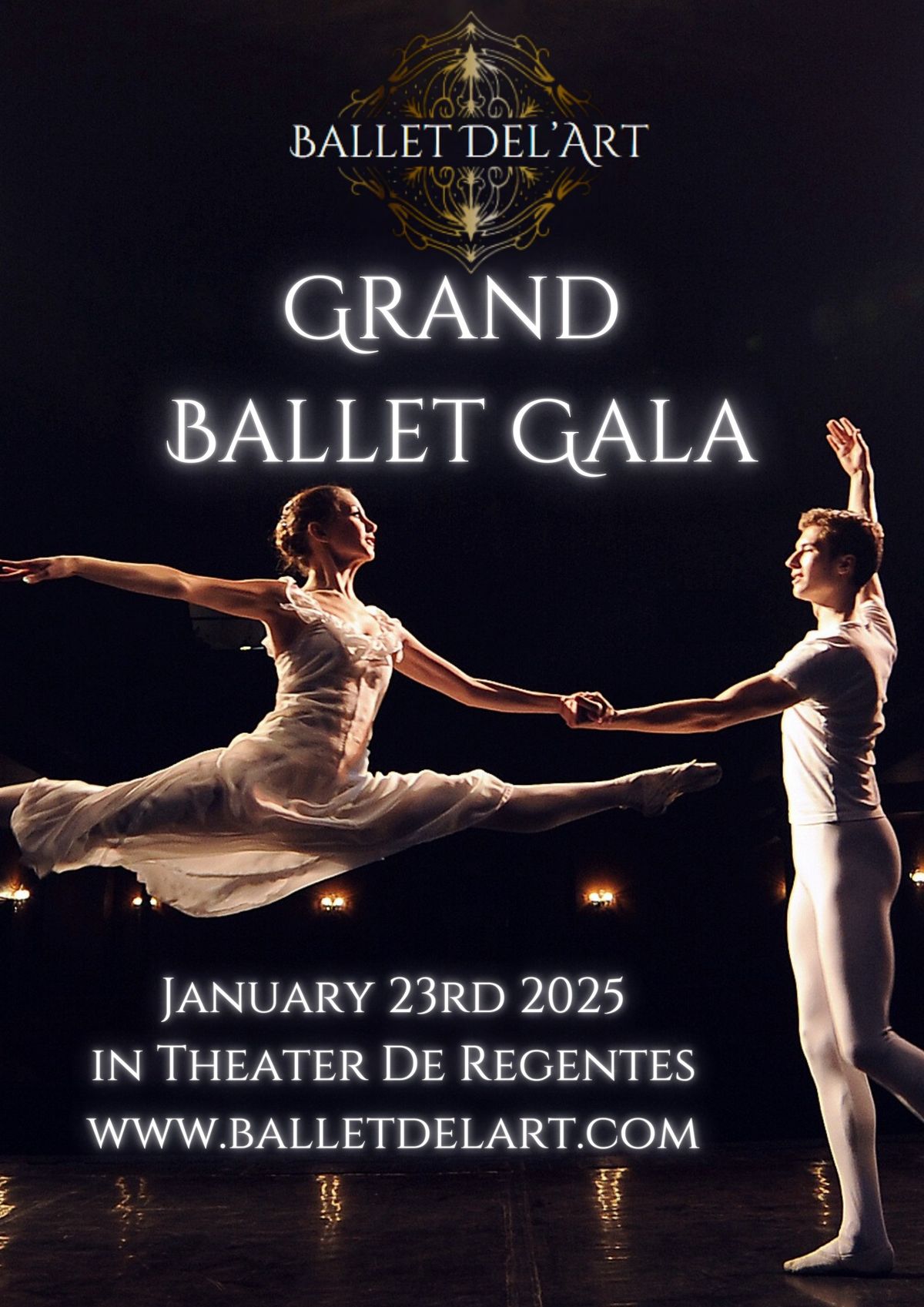 Grand Ballet Gala in The Hague