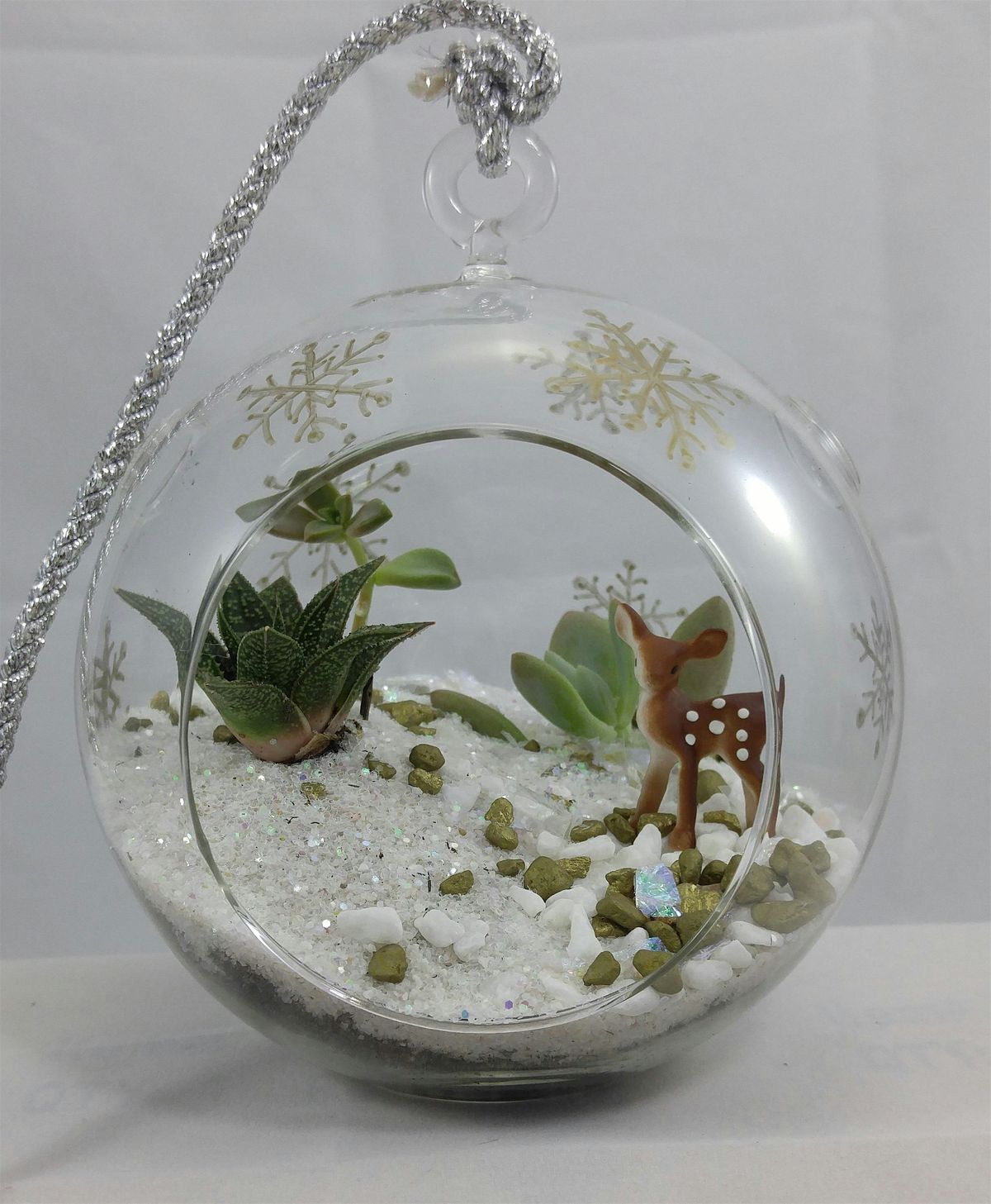 Plant Nite: Make a Succulent Terrarium