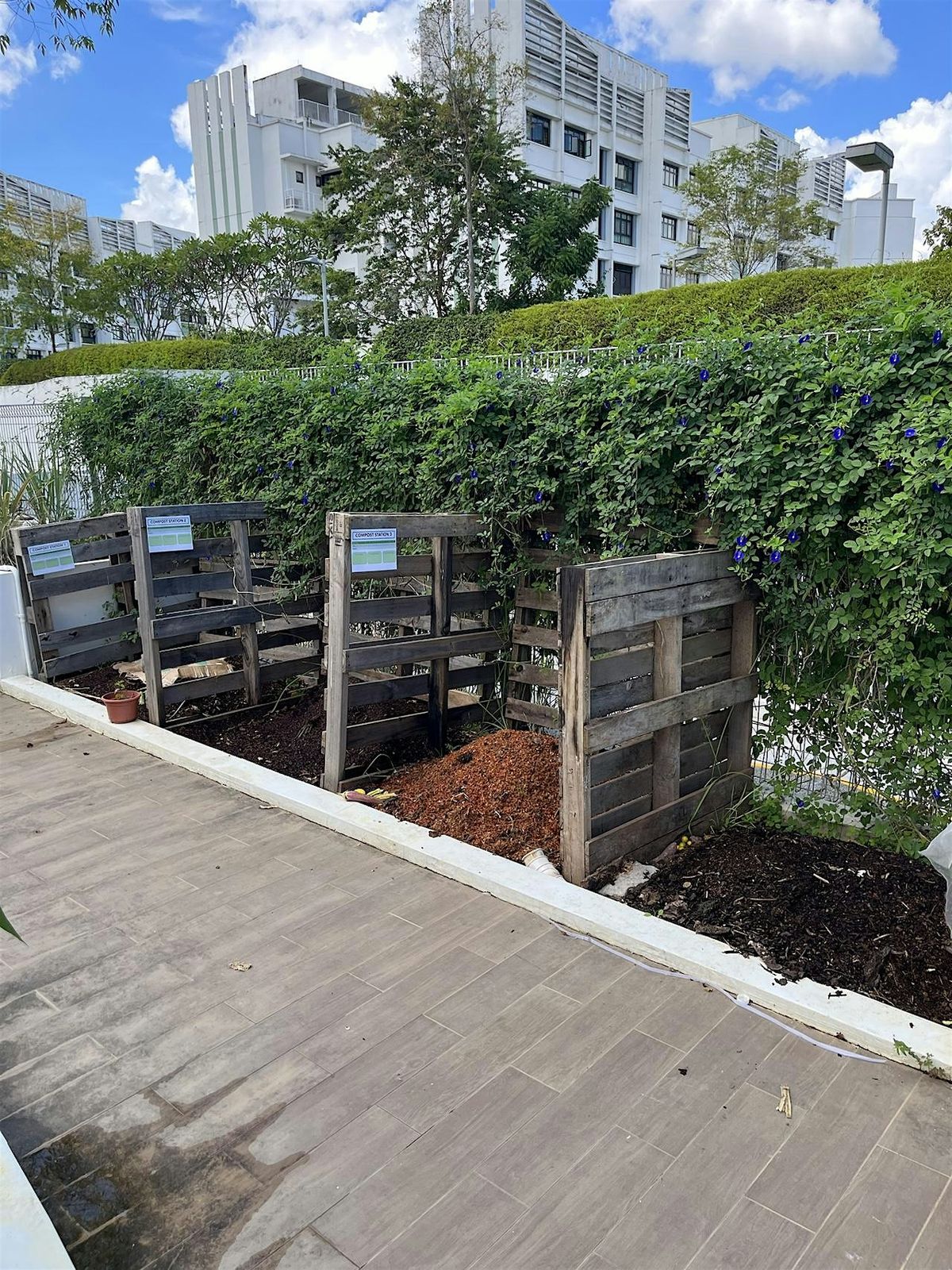 Reduce Food Waste by Composting