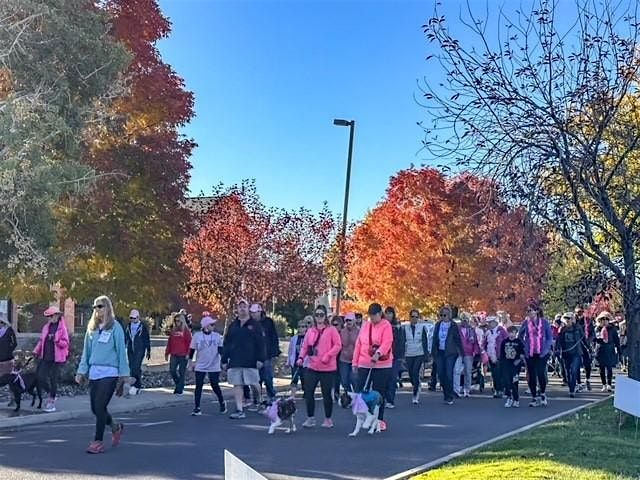 32nd Annual Bosom Buddies "One Step Closer to Help & Hope" 5K Walk\/10K Run