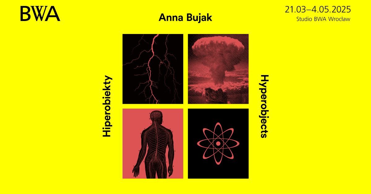 Anna Bujak. Hiperobiekty