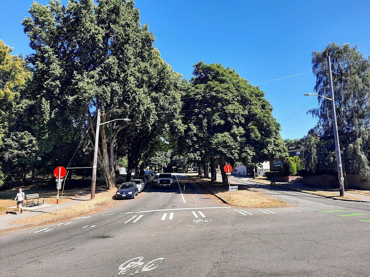 Cowen Park Picnic Potluck and Ravenna Park Walk