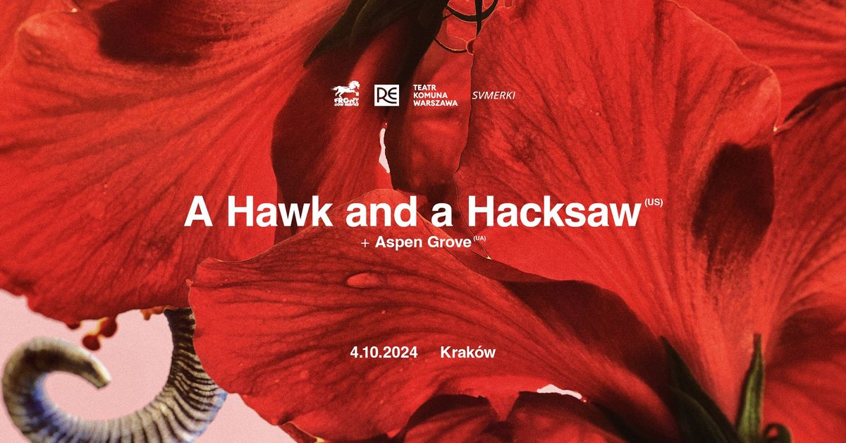 FRH prezentuje: A Hawk and A Hacksaw (US) + Aspen Grove (UA) # Klub RE