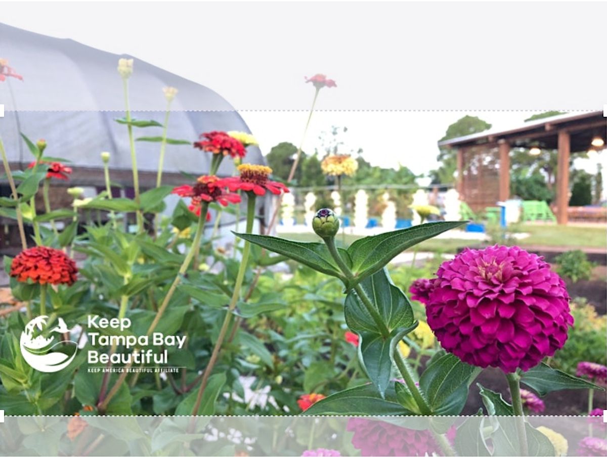 Volunteer Workday at the Florida Learning Garden