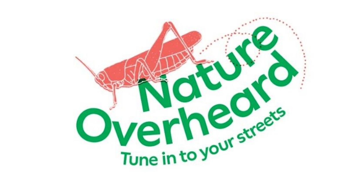 Children's Workshop - Nature Overheard: Tune in to  your streets