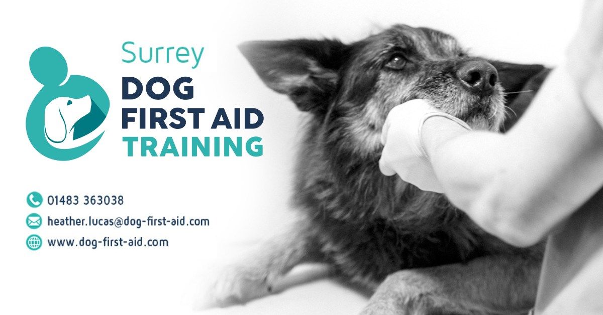 Leatherhead Dog First Aid Course