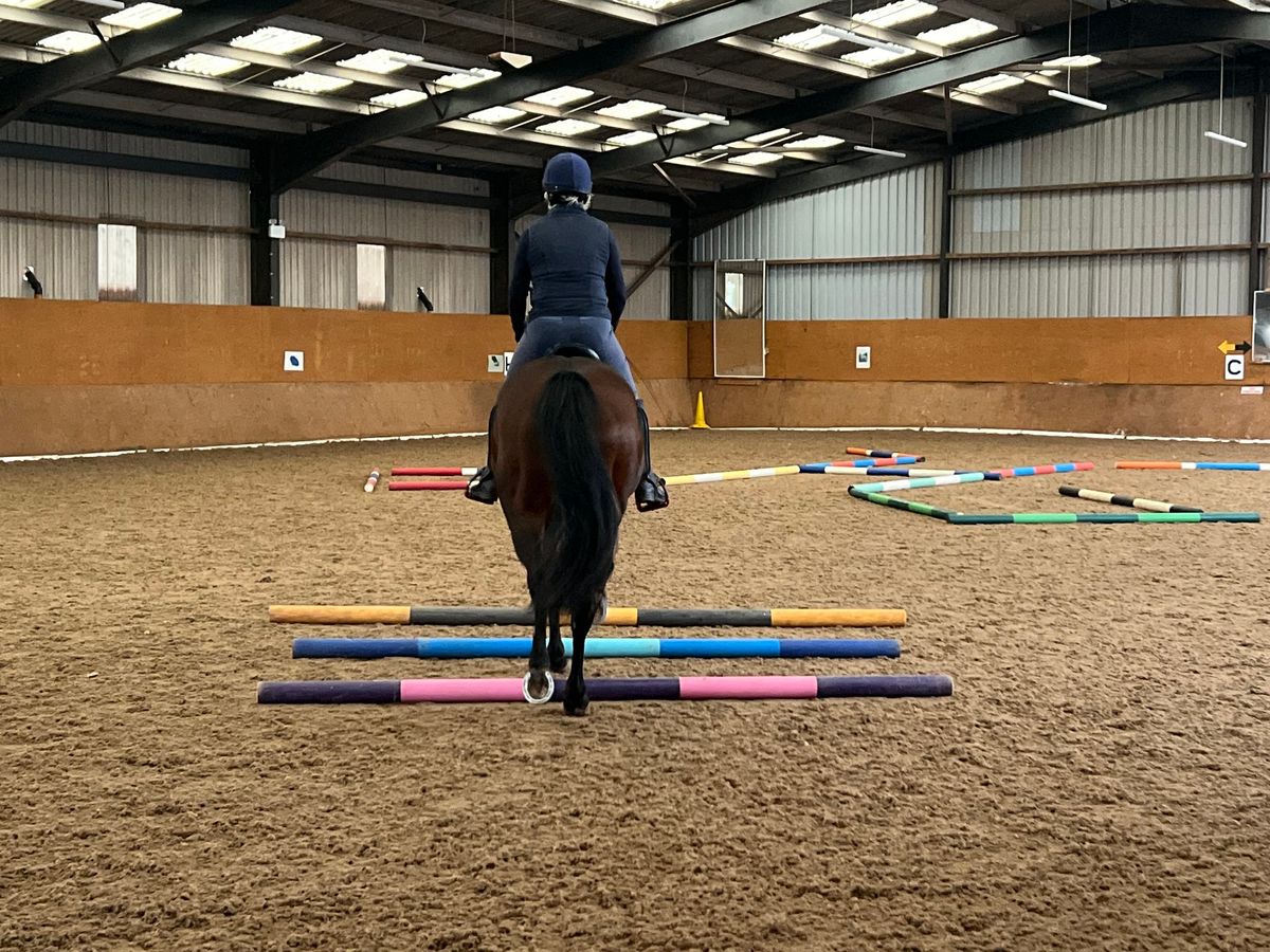 Fun Christmas Pole Clinic with Colleen Knox