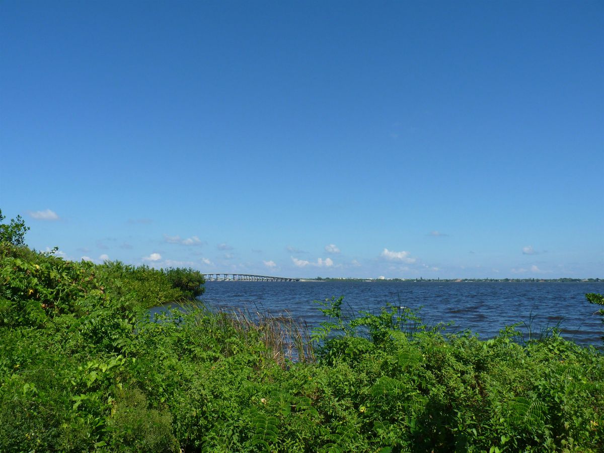 City of Melbourne and KBB International Coastal Cleanup