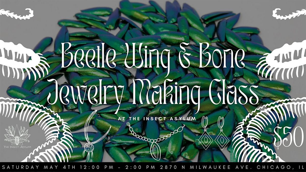 Jewel Beetle Wing & Snake Bone Jewelry Making Workshop