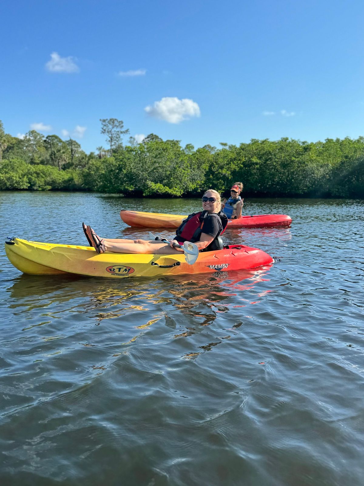 Guided Kayaking Tour: Werner-Boyce Salt Springs State Park + Stilt House Views 