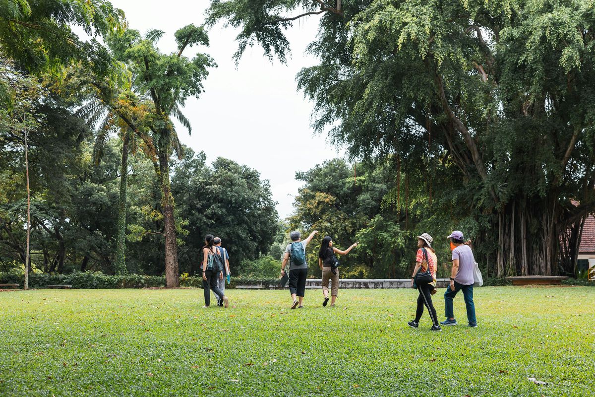 From Seed to Tree: Fort Canning