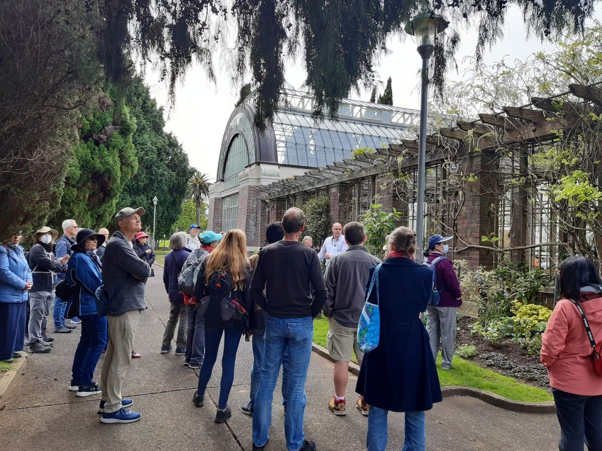 FREE Guided walk - Auckland Domain and Winter Gardens, Grafton. 