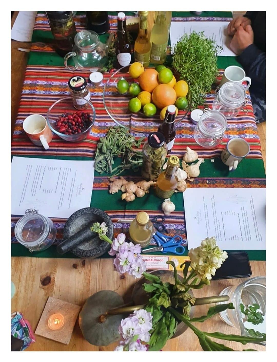Winter Medicine and Foraging Workshop - all materials included