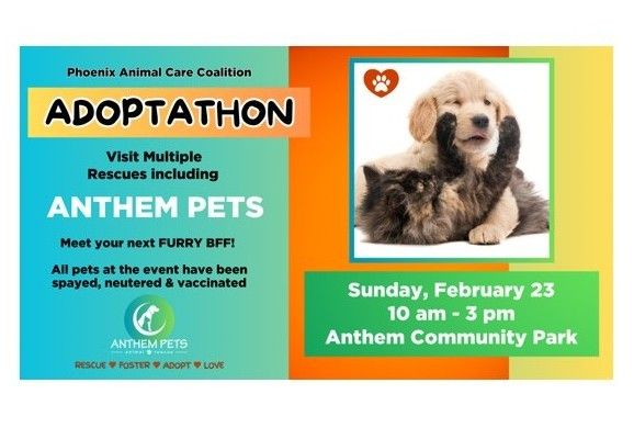 PACC911 Dog & Cat ADOPTATHON!