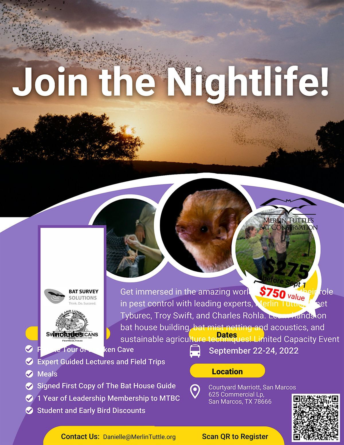 Join the Nightlife! 2024