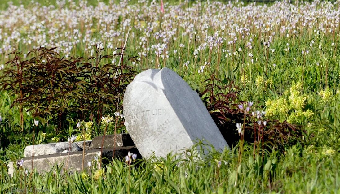 Cemetery Prairie Walking Tour