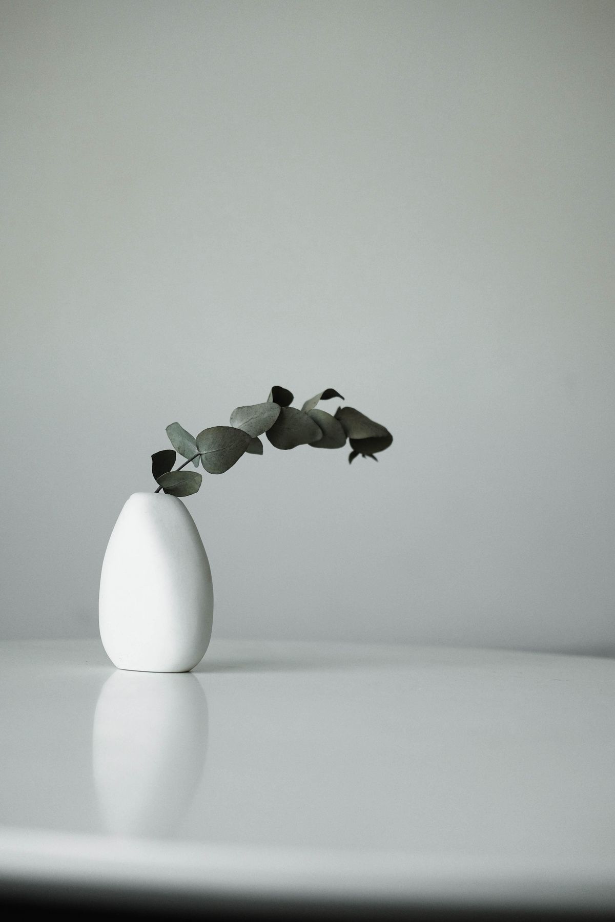 Finding Your Roots: Ceramic Vase & Meditation