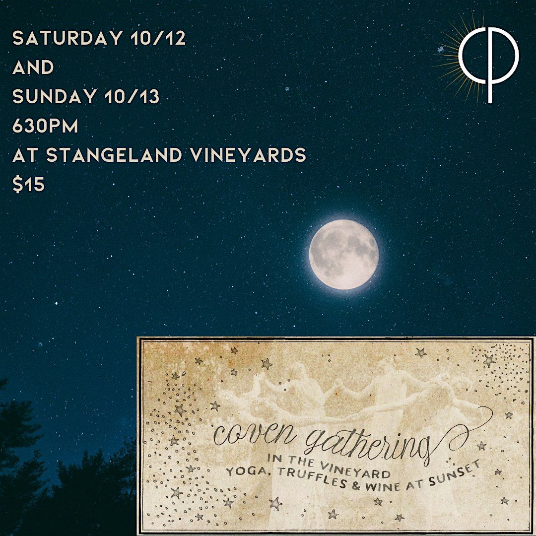 Sunset Yoga Gathering in the Vineyard