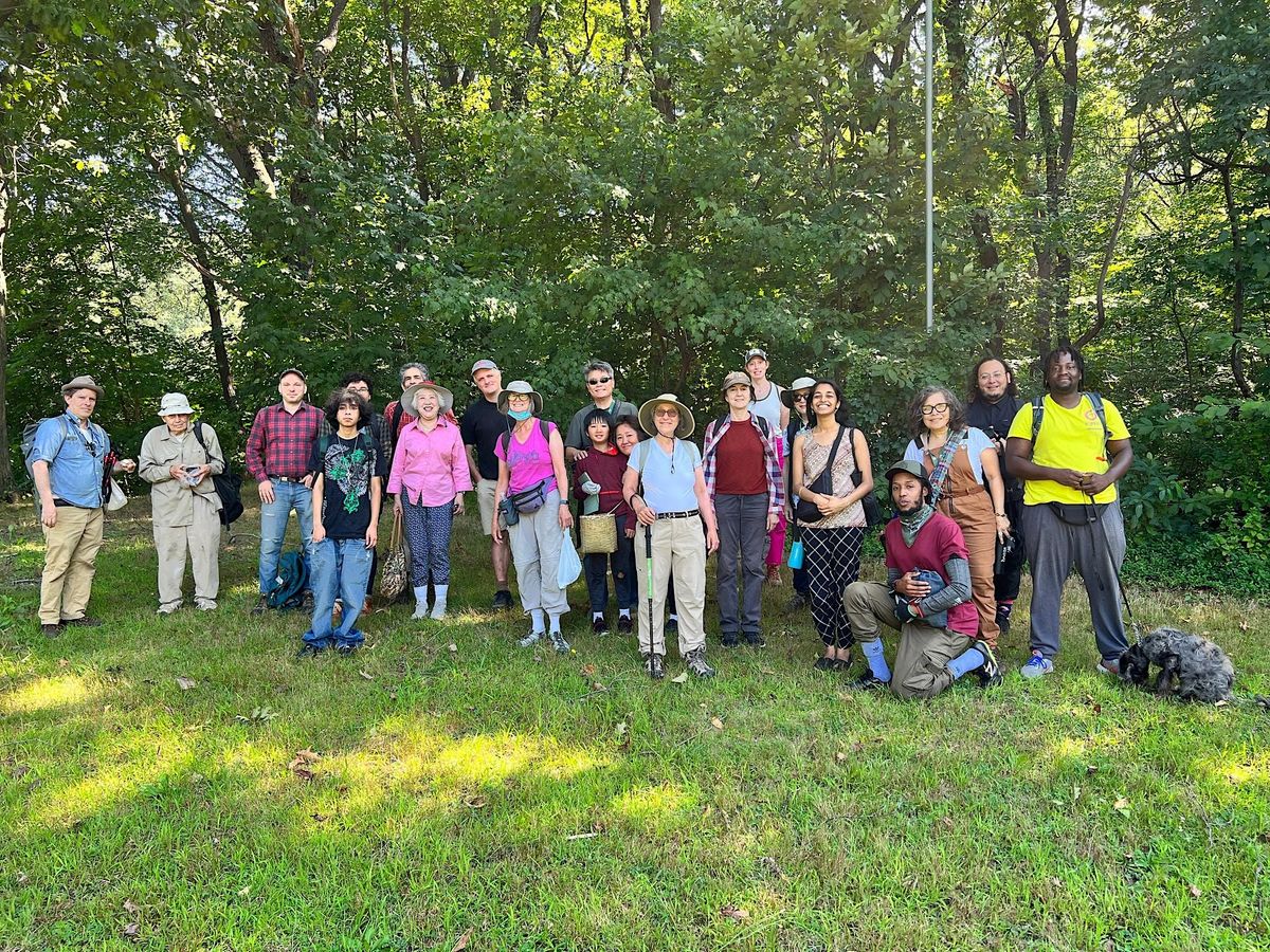 New York Mycological Society mushroom walk Fungus Festival 2023