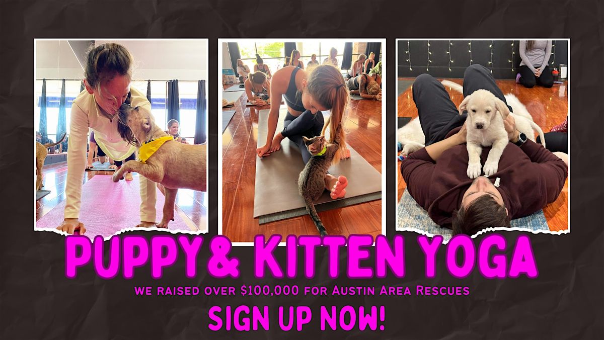 Kitten Yoga benefitting Austin Pets Alive!