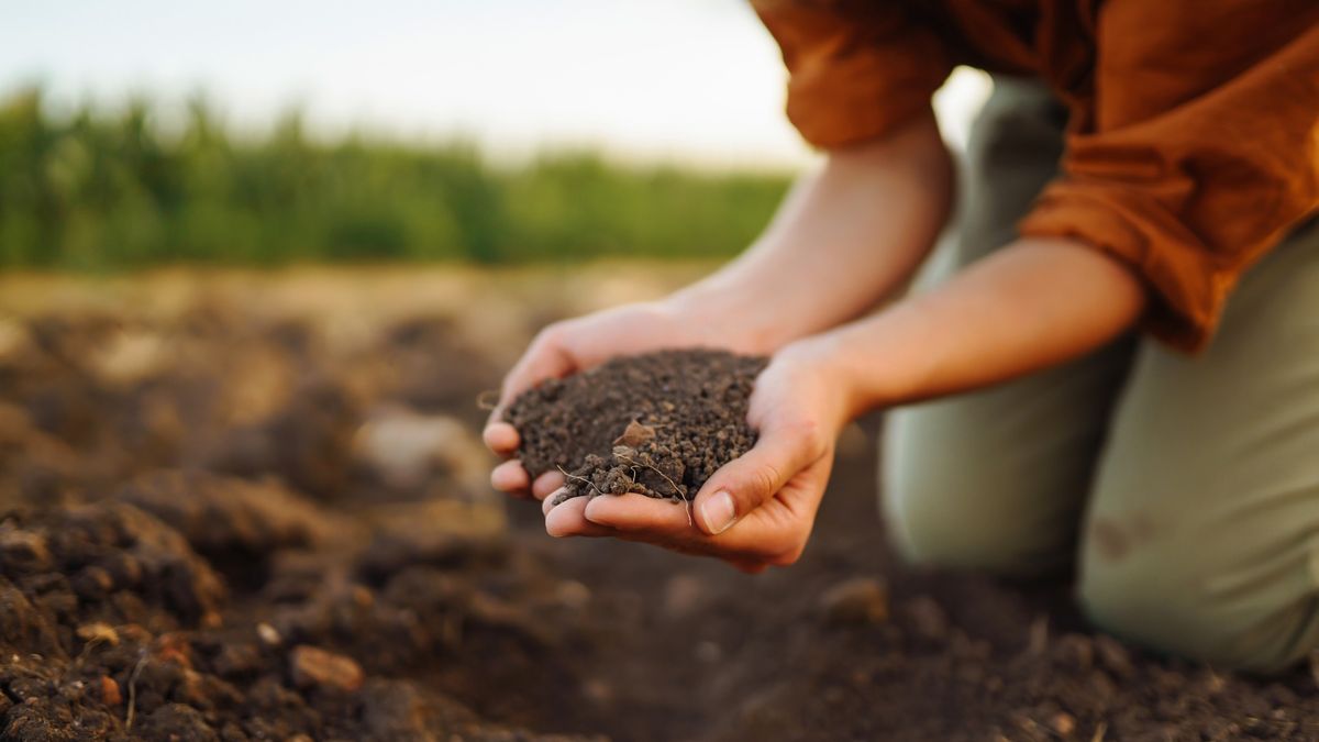 Compost, Soil & Mulch