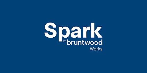 Downtown in Business X Spark: Networking Event