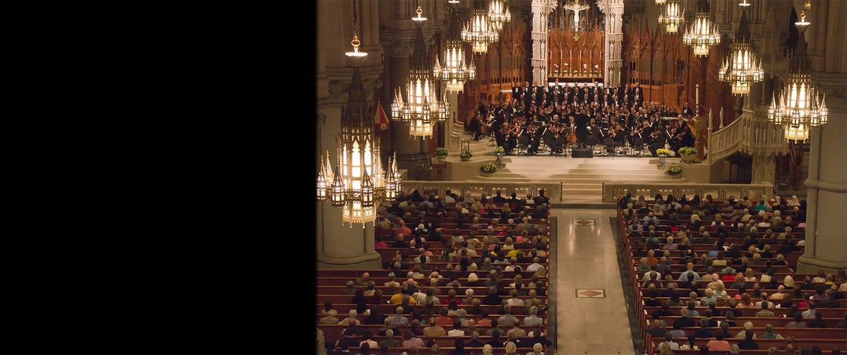 Symphony of the Americas: Haydn - The Creation