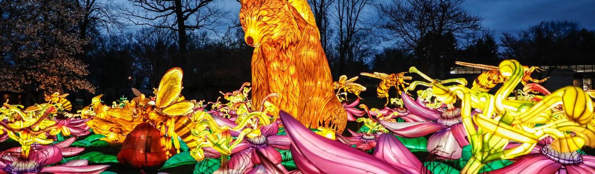 Fort Wayne Tincaps at Cedar Rapids Kernels at Veterans Memorial Stadium - IA