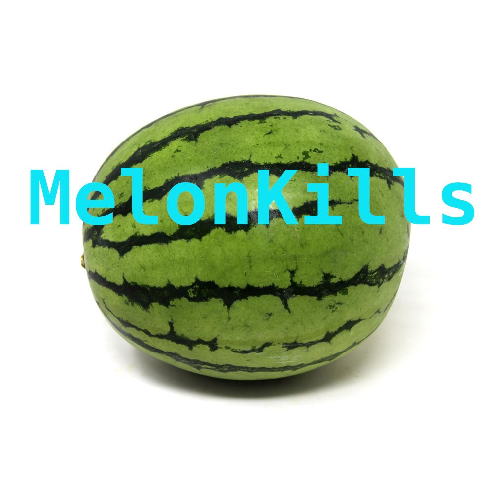 MelonKillsGabriel