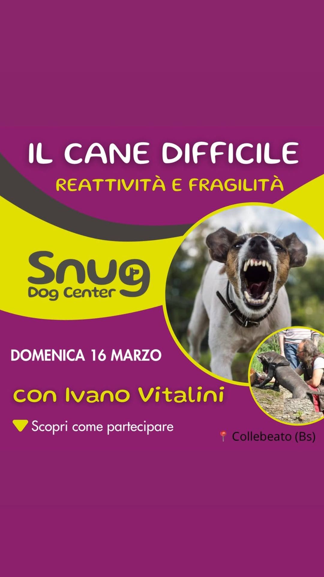 IL CANE DIFFICILE