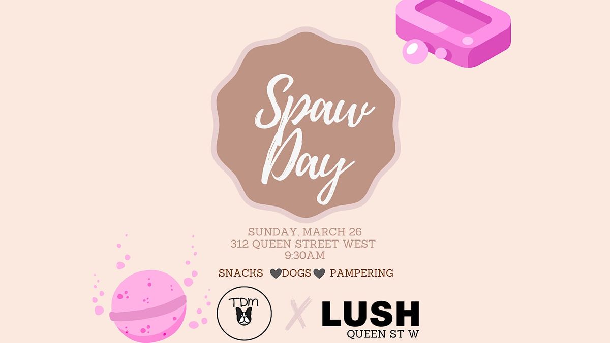 Spaw Day With Lush