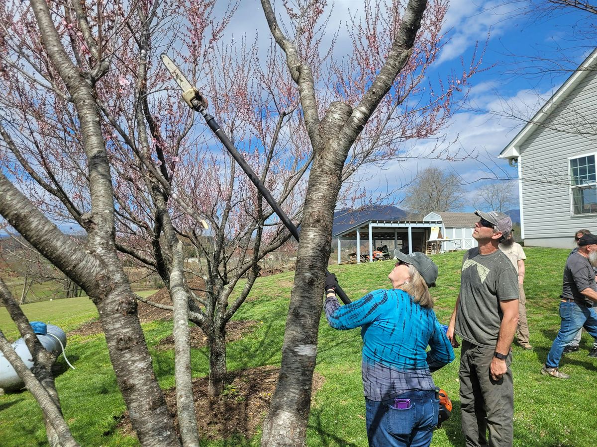 Growing and Pruning Fruit Trees and Berries