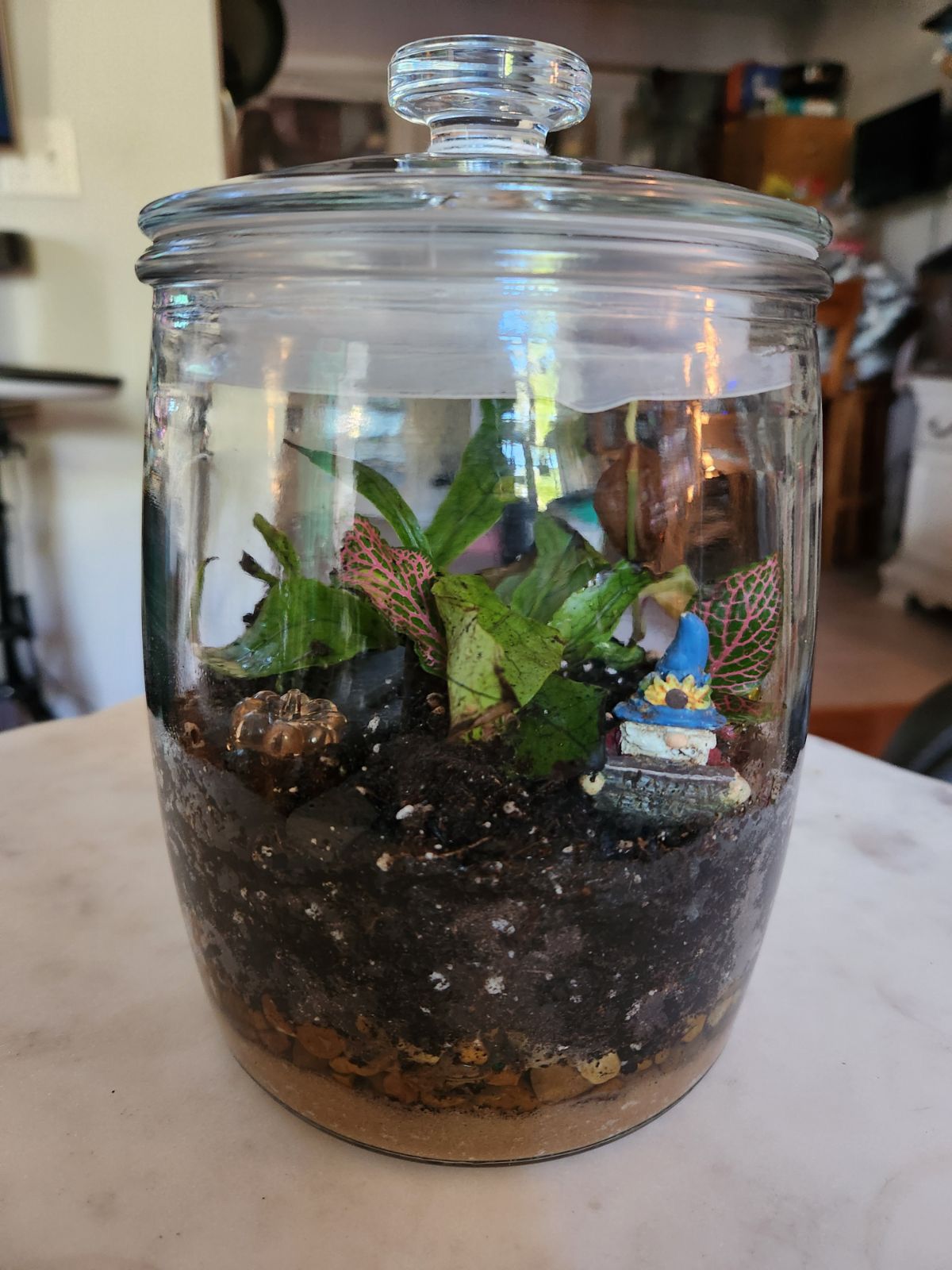 Terrarium Class