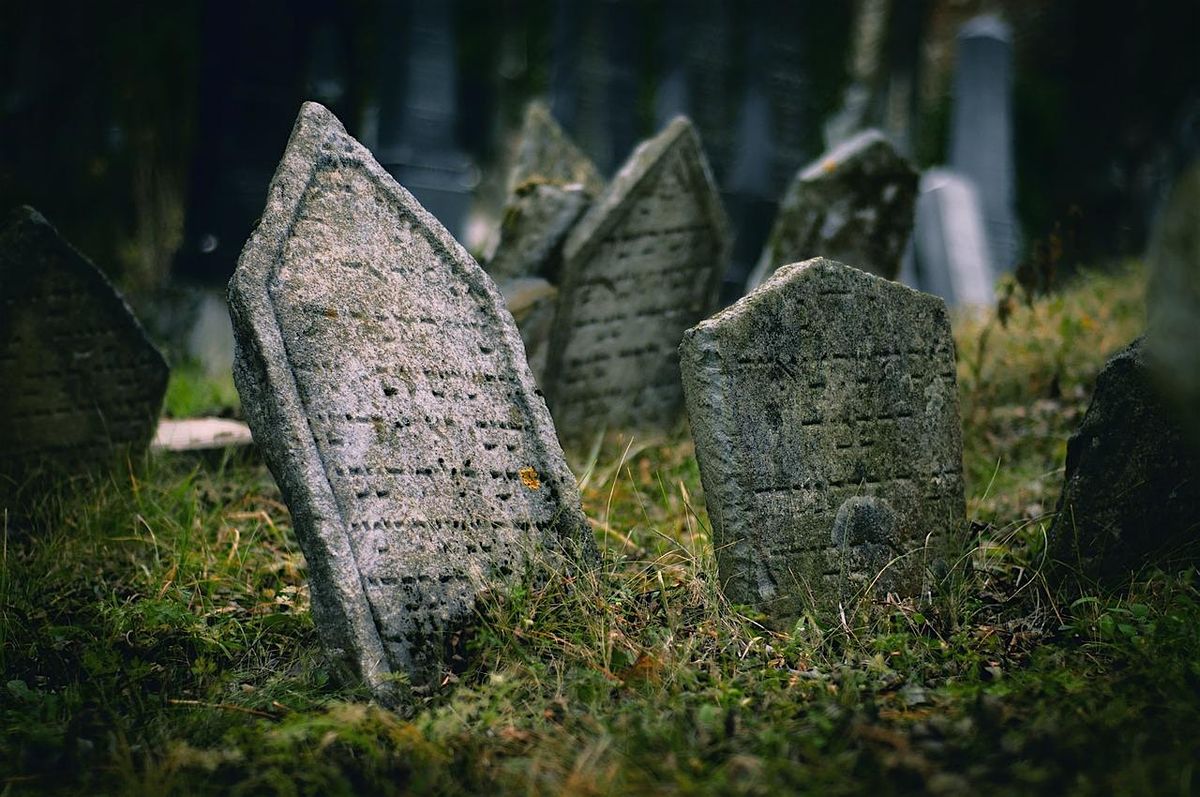 Spooky Terrariums