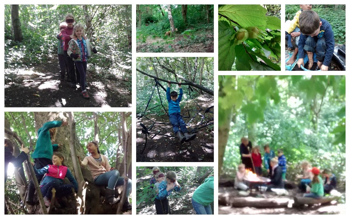 Wild Wood Holiday Club -Summer 2024