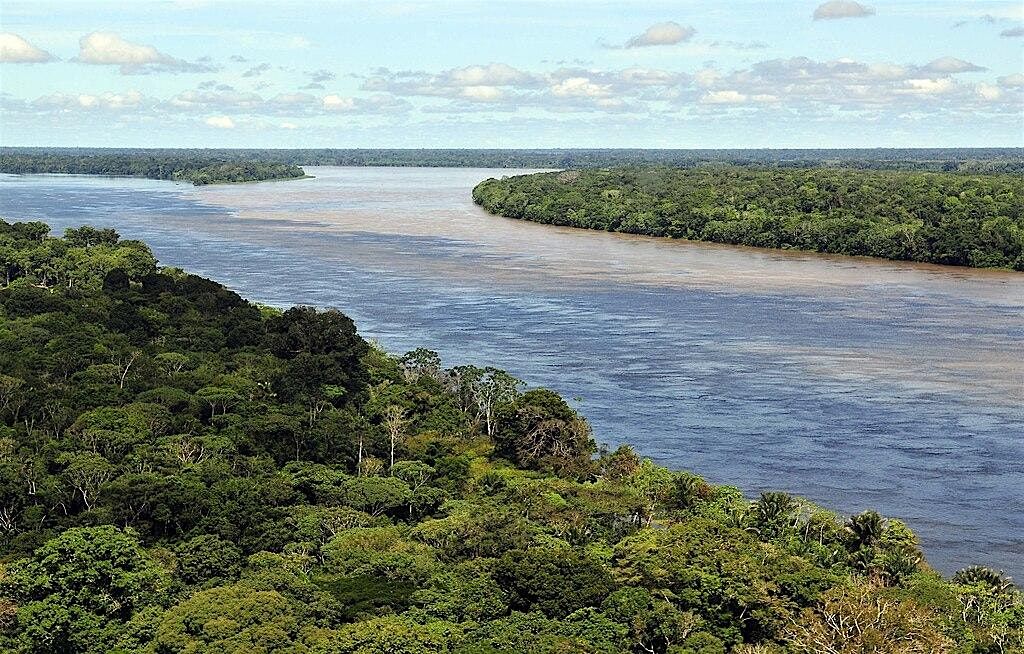 The survival of the Amazon rainforest is under threat