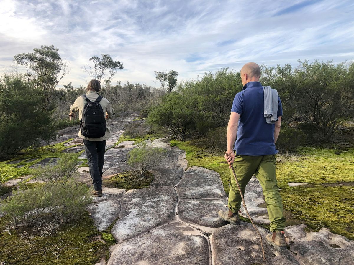 BUSHWALK FUNDRAISER - PITTWATER BUSHWALK & TRINCOMALEE LUNCH