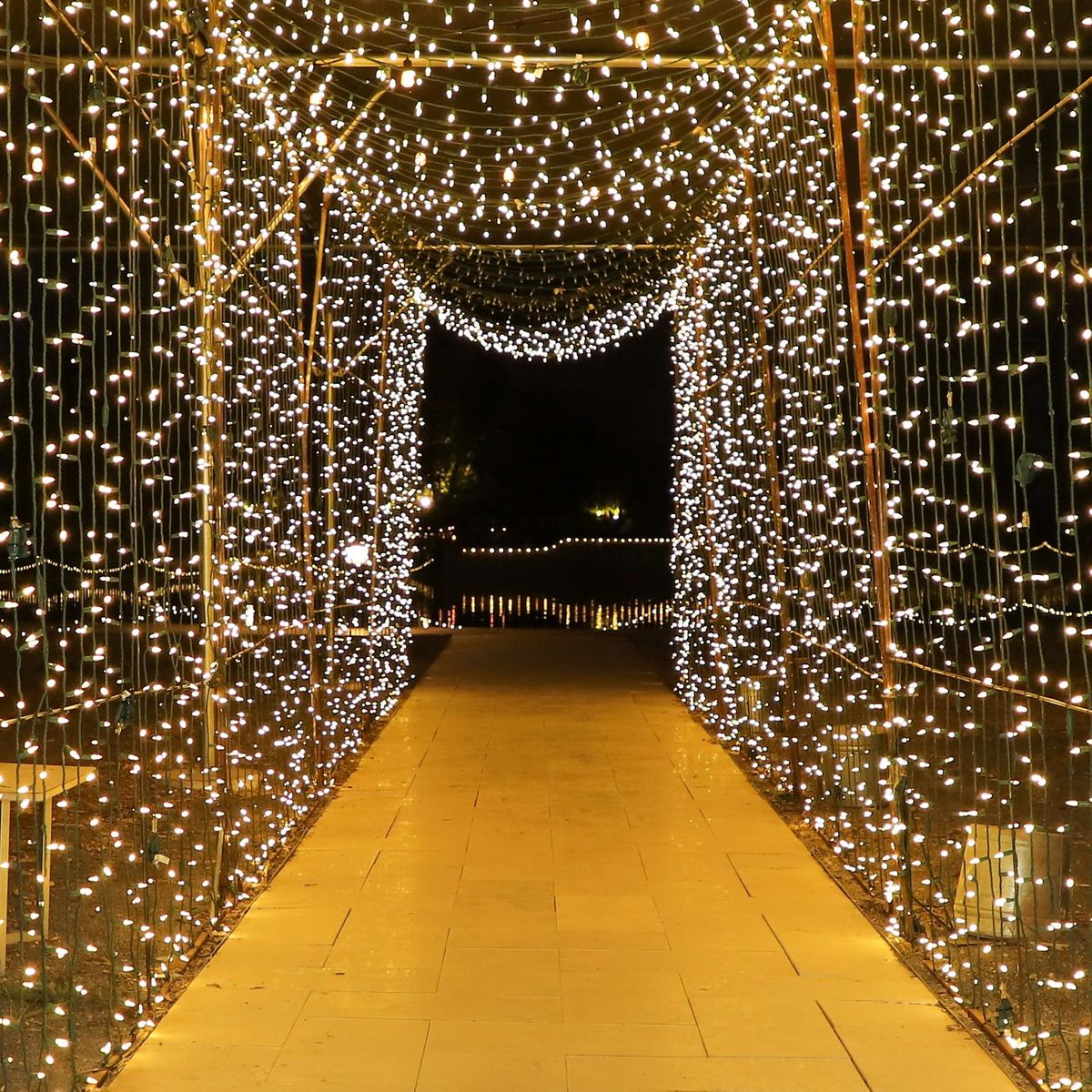 Clays Park Christmas Lights 2022 2022 New Years Eve Great Gatsby Ball At Pecan Lake, Queen Creek Botanical  Gardens, 31 December To 1 January