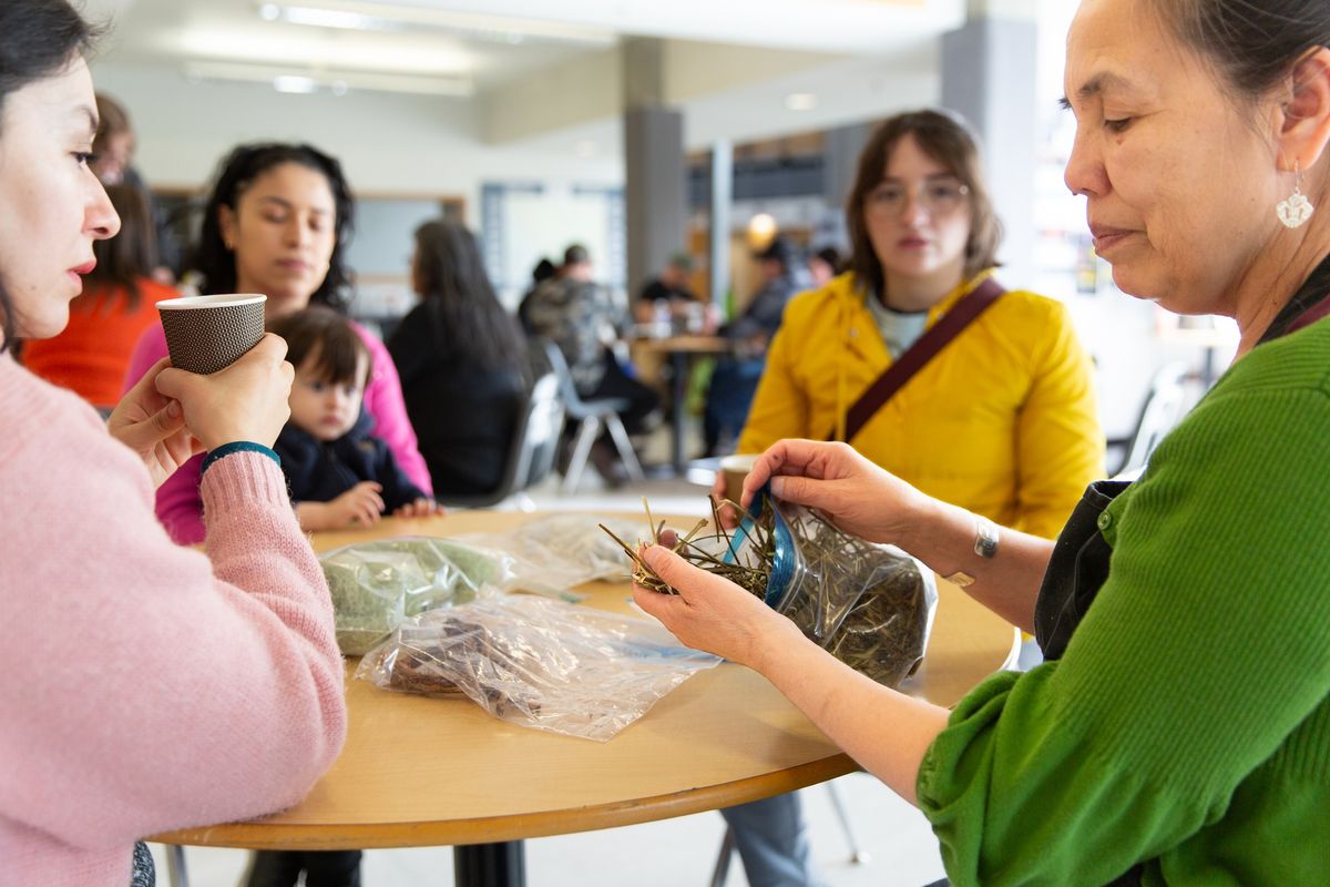 Traditional Medicine Workshop with Sharon Primeau 