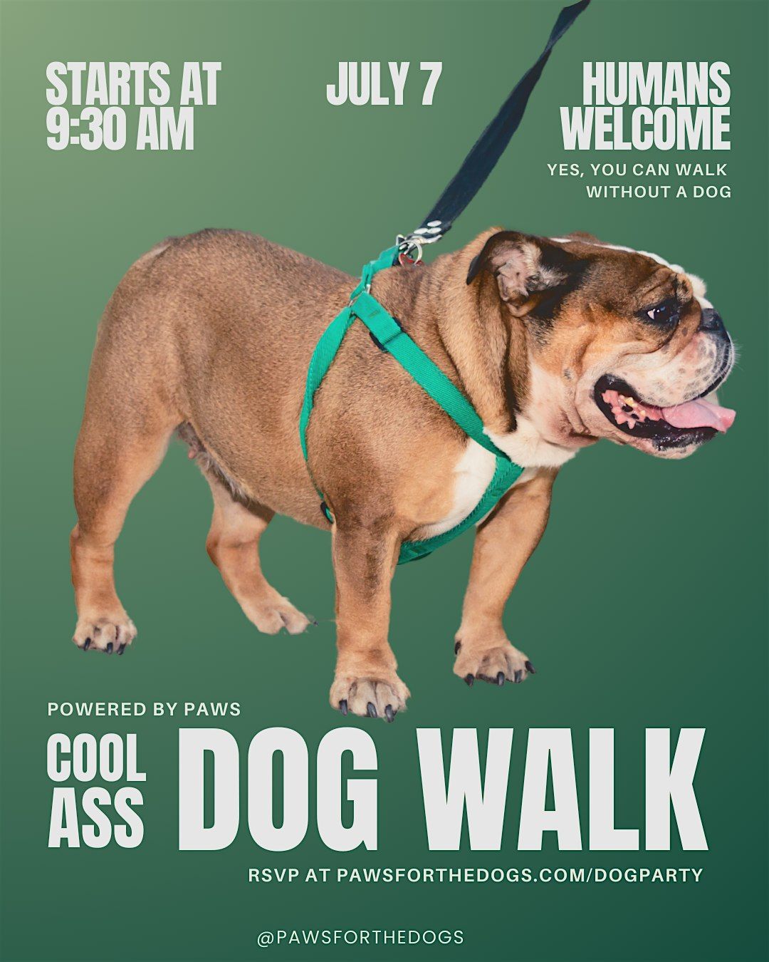 Cool Ass Dog Walk | ATL