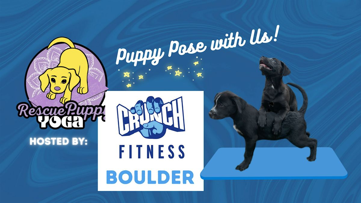 Rescue Puppy Yoga - Crunch Fitness Boulder