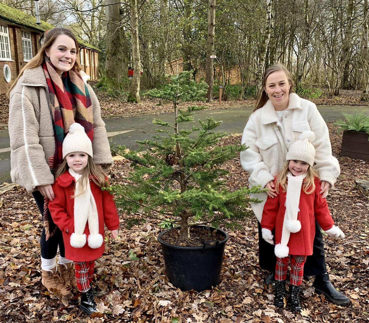 Santa Sleigh and Christmas Festivities