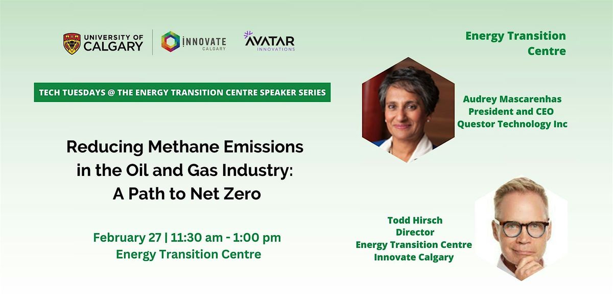 Reducing Methane Emissions in the Oil and Gas Industry: A Path to Net Zero