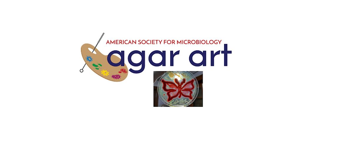 Agar Art Workshop