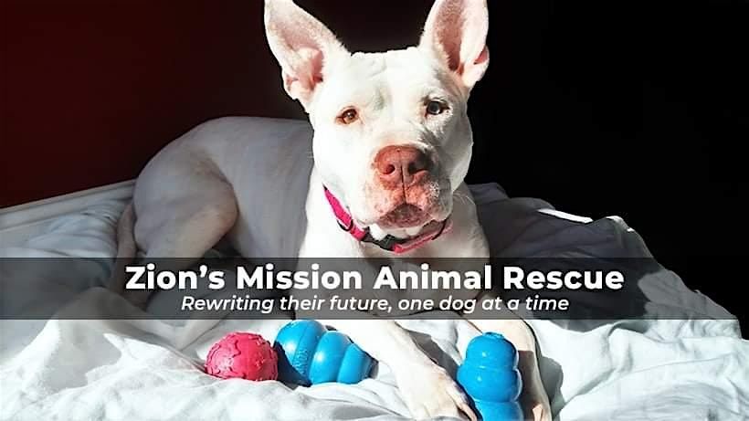 Bark in the Park: Benefitting Zion's Mission x Sasha's Mission