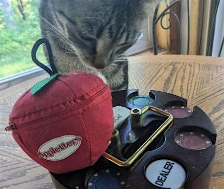 Game Night with Kitties