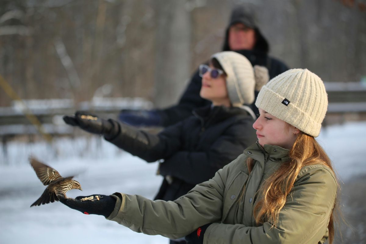 Welcome to Birding Field Trip