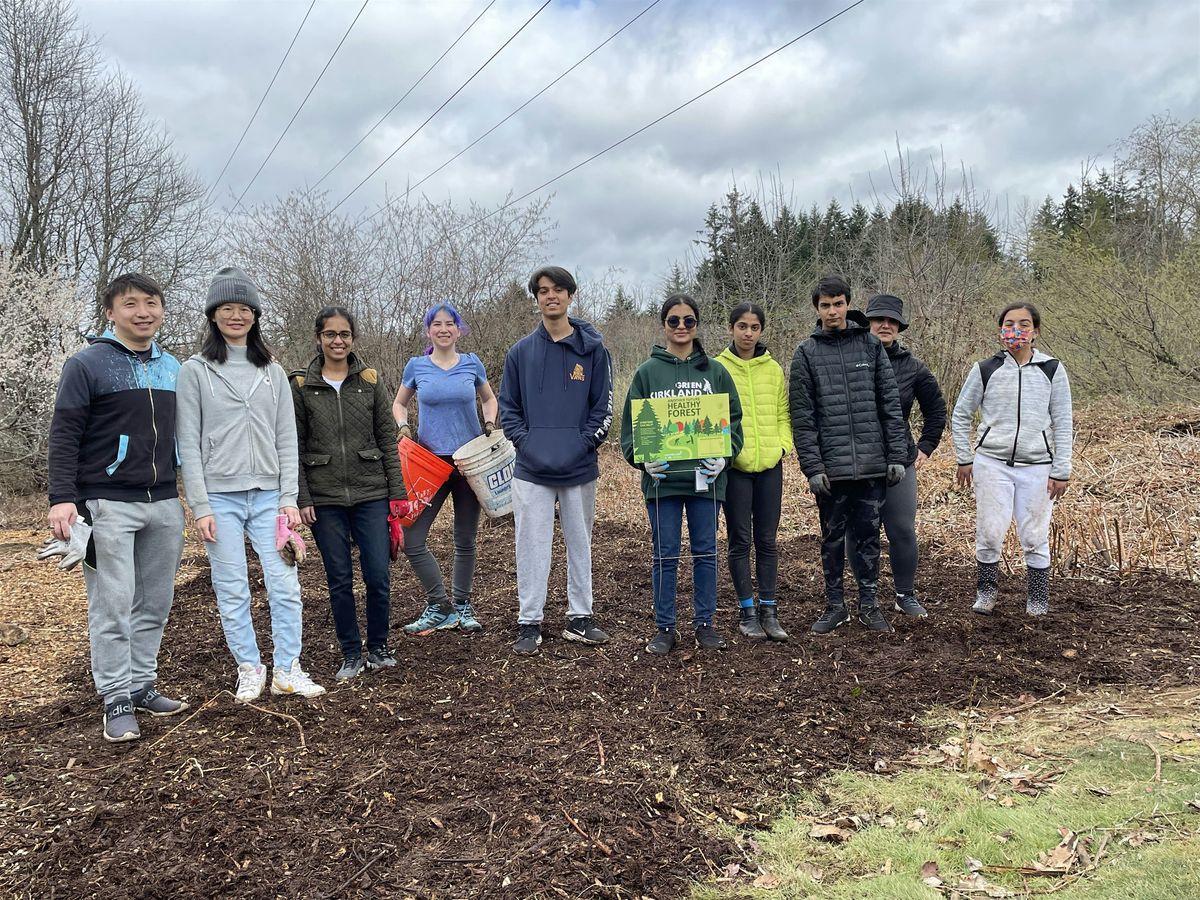 North Rose Hill Woodlands Park Habitat Stewardship Day